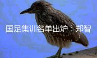 国足集训名单出炉�：郑智落选 两U23新星入选