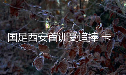 根据记者的西安目测