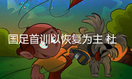 可能将会缺席征战亚预赛
