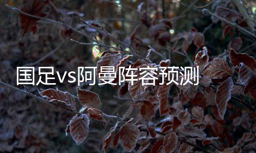 他会起到稳定军心的国足作用