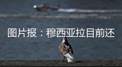 穆西亚拉目前还没有出院