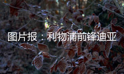 图片头协《图片报》称