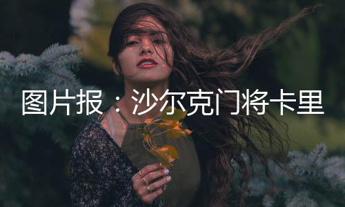 并且在禁区内飞扑自如