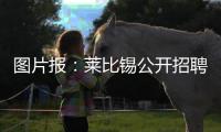 图片报：莱比锡公开招聘厨师
，为球员和工作人员提供餐饮服务