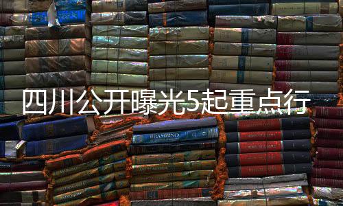 重点承揽工程项目等提供帮助