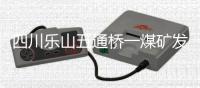 四川乐山五通桥一煤矿发生事故
，造成7人死亡