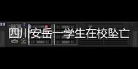 四川安岳一学生在校坠亡，官方通报
