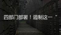 快排公司十年历程，霸屏兔 seo 的崛起与坚守