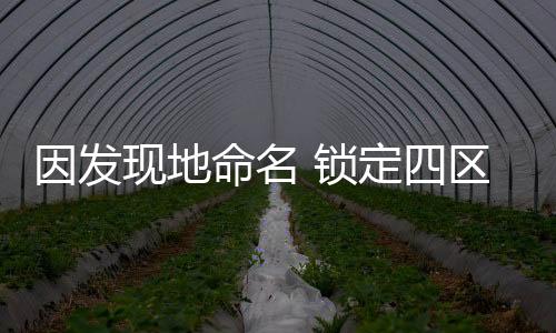 中国境内发现一批脑容量大