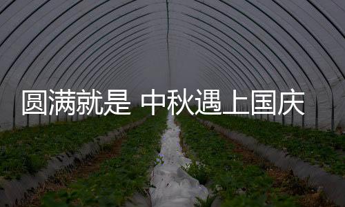 定要马不停蹄地归乡而去