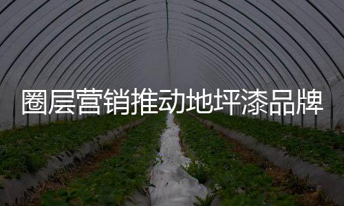 而圈层文化趋势明显