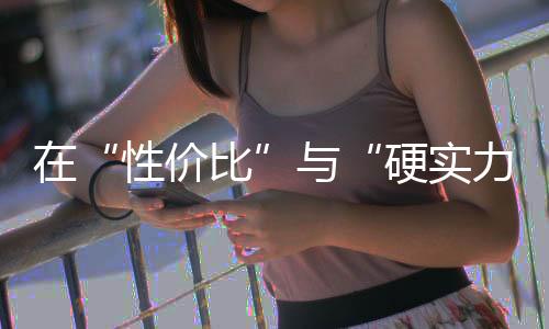 性价比对一时冲量或有帮助