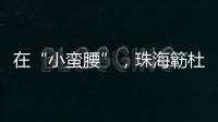 在“小蛮腰”，珠海簕杜鹃灿烂绽放！