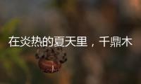 在炎热的夏天里，千鼎木门为您送上一份清凉!