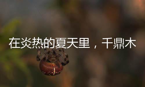 美学、为送一樘千鼎木门