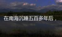 在南海沉睡五百多年后，它们终于出水展出