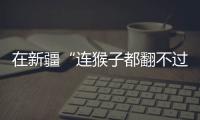 在新疆“连猴子都翻不过的山”，查缉、抢险和反恐维稳