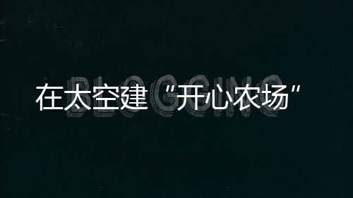 偶尔拍一些美照或视频