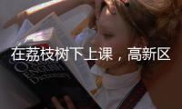 在荔枝树下上课	，高新区这群青少年直呼“有韵味
！”