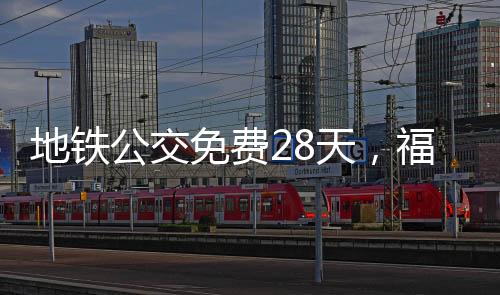 “终于不用健壮码了