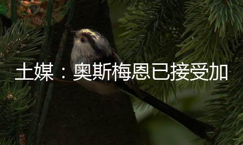 在获得球员积极信号后