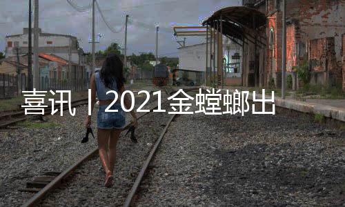 丨金环保、螳螂22年来