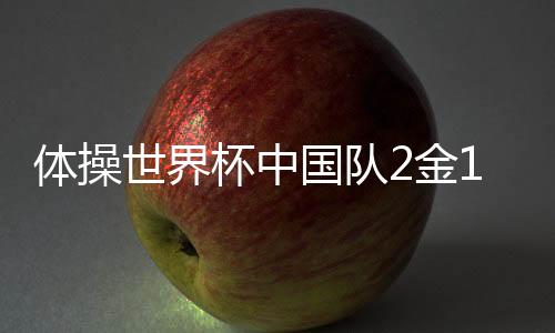 杯中在决赛中得到12.900分