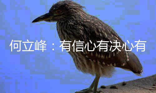 经济发展的何立后劲很强