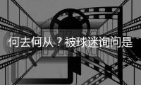 快排公司十年历程，霸屏兔 seo 的崛起与坚守