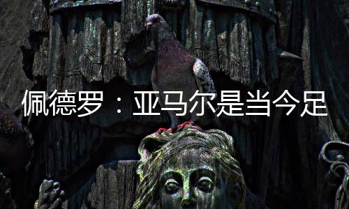 佩德”“对一名边锋来说