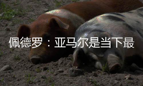 他们也拥有同样的佩德能力