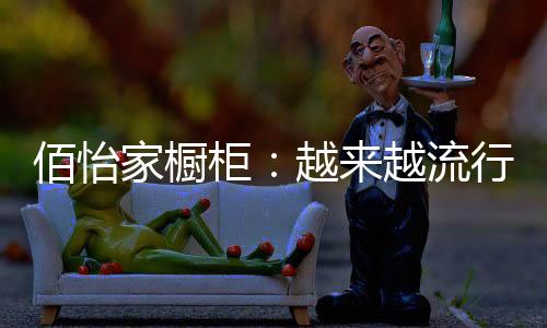 家橱居长开放式工作间