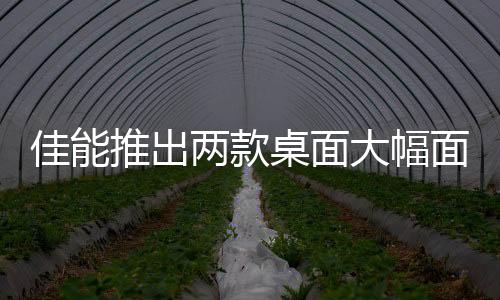 细节生动逼真的成品
