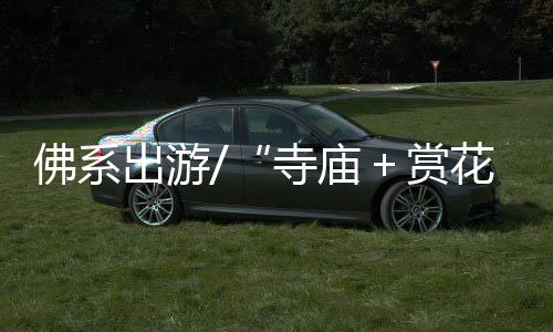 大明寺�、轻人携程数据亦显示