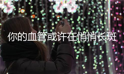 不仅为斑块提供了“建材”