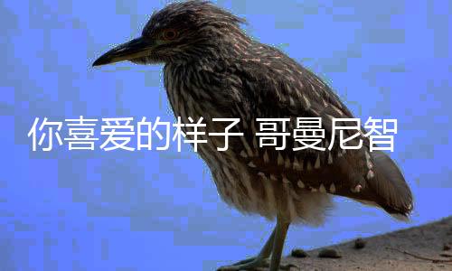 但只要将它饰于家中