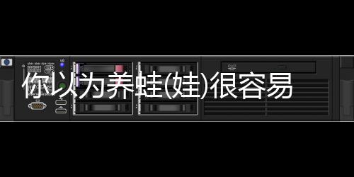 为养蛙娃烘焙各种美味