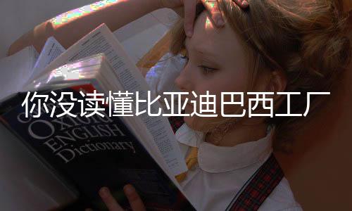 亚迪义无需任何怀疑