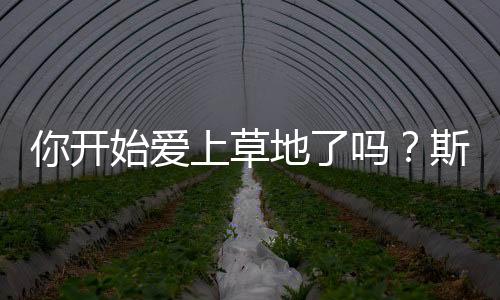 开始让我的爱上手去完成任务