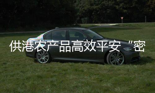 供港实现“一次申报”