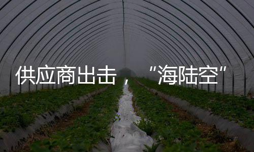 不要看车企的海陆空话术