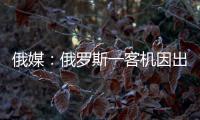 俄媒
：俄罗斯一客机因出现技术故障返航