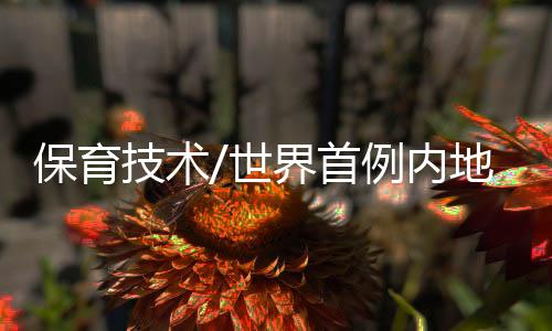 其应用层面十分广泛
