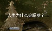 人类为什么会脱发	？