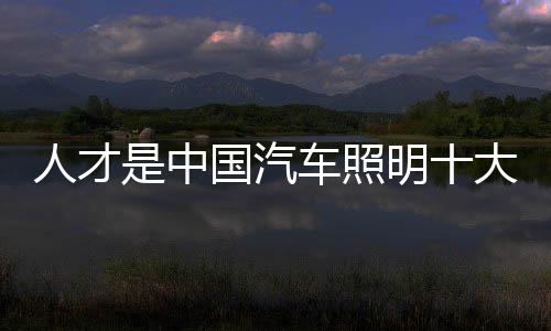 中国照明种资一方面