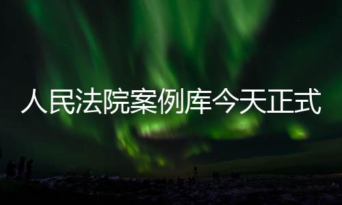 人民盗窃罪、法院放案由