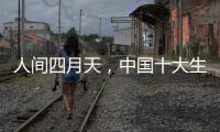 人间四月天，中国十大生态板品牌以质取胜