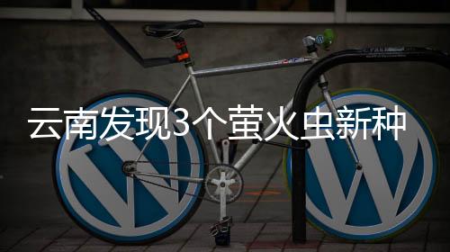 火虫结合分子标准