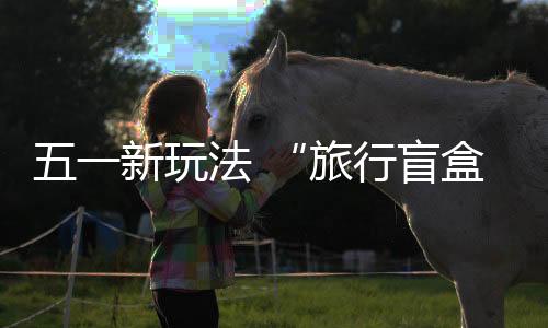 预订成功后还能获得机票补贴