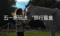 快排公司十年历程，霸屏兔 seo 的崛起与坚守